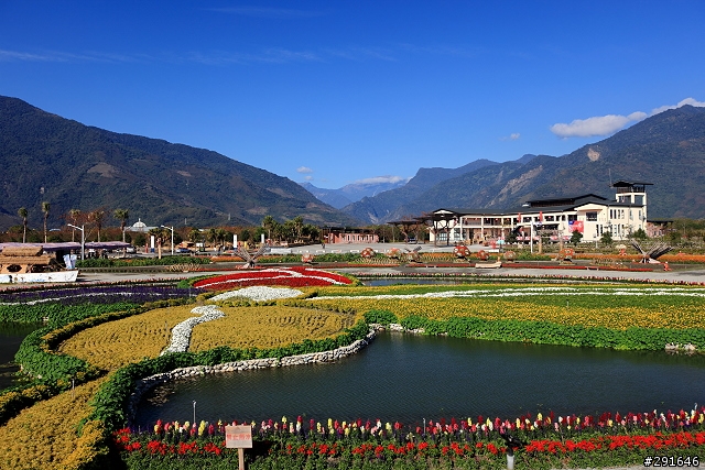 2010~花東油菜花季之旅 (圖多)