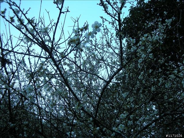外詩朗的天空---好藍