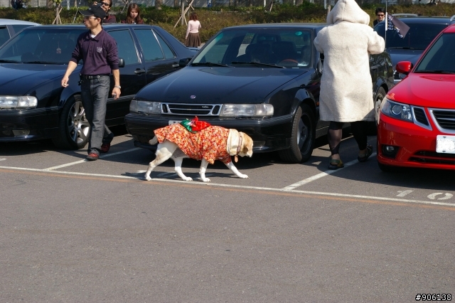SAVE SAAB @ 水湳機場