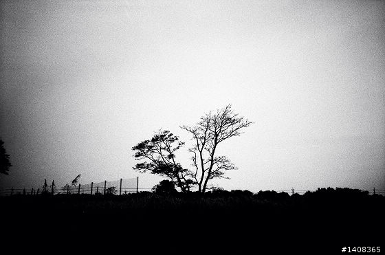 LC-A+ 富士 NEOPAN 1600 黑白粗顆粒相片