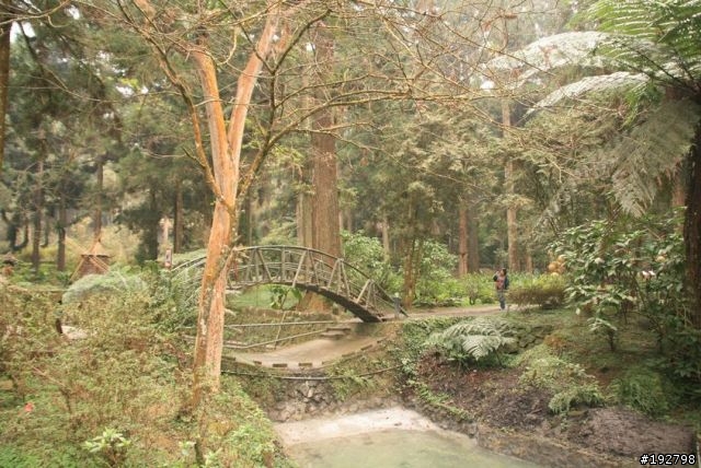 ☆霧鎖山林雲隱天,溪頭賞景練身體☆(三)強身健體~溪頭森林遊樂區