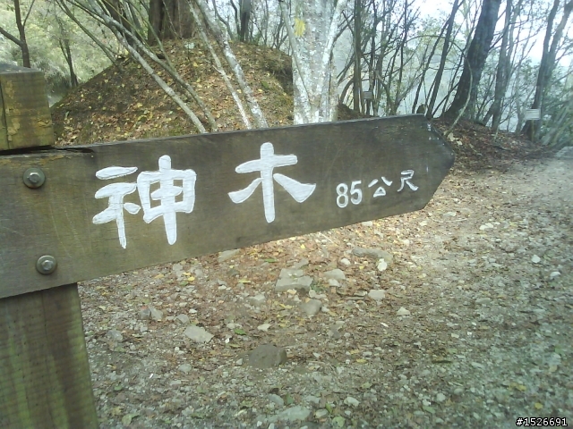 2010元旦單車騎上阿里山發現塔塔加風景之美不勝收!