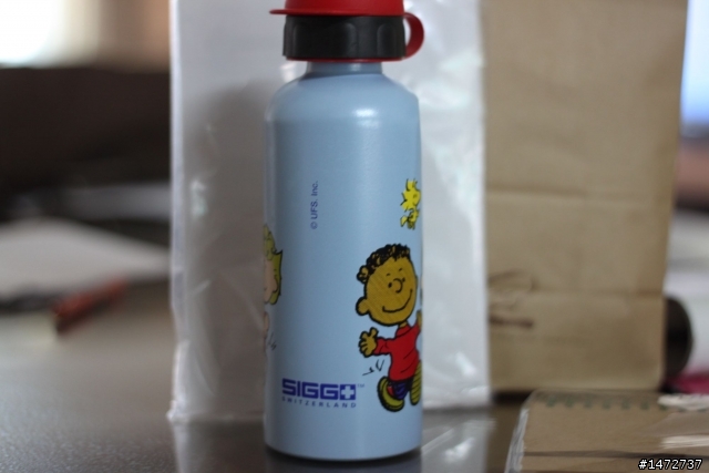 小弟的snoopy收藏…