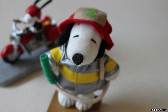 小弟的snoopy收藏…
