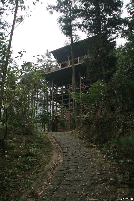 ☆霧鎖山林雲隱天,溪頭賞景練身體☆(二)木造屋~內湖國民小學