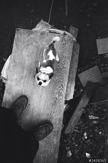 LC-A+ 富士 NEOPAN 1600 黑白粗顆粒相片