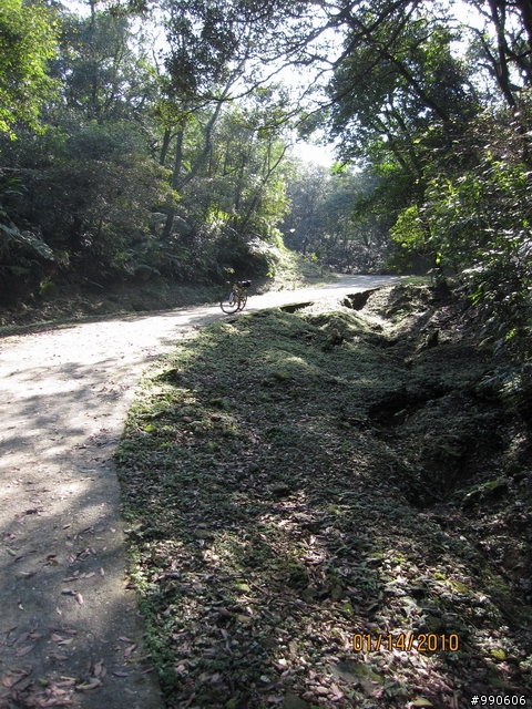 鵠鵠崙上四分尾山+106姑娘廟推車行~