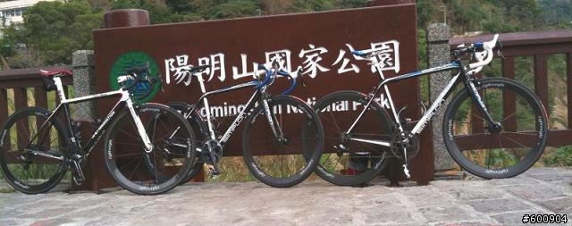 萊威3兄弟+聖暴龍Simplon車架