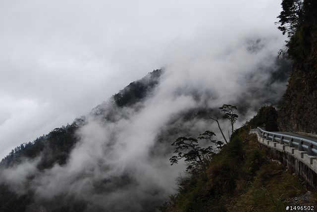2010/01/01驚嘆連連+驚心動魄--南橫/一個人私奔的旅行