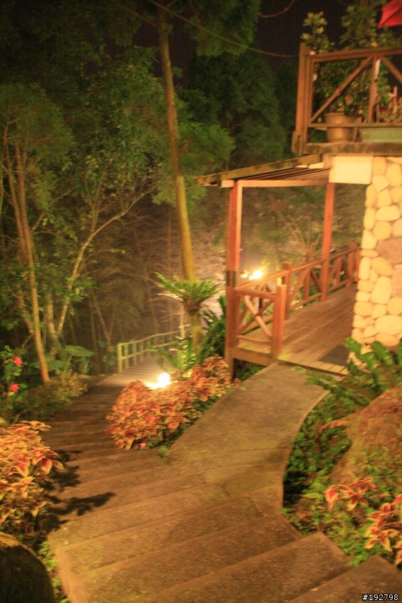 ☆霧鎖山林雲隱天,溪頭賞景練身體☆(四)嚇鼠倫~新明山渡假飯店