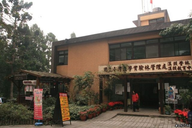 ☆霧鎖山林雲隱天,溪頭賞景練身體☆(三)強身健體~溪頭森林遊樂區