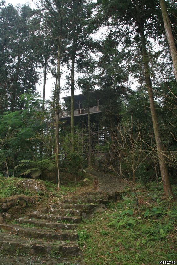 ☆霧鎖山林雲隱天,溪頭賞景練身體☆(二)木造屋~內湖國民小學