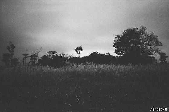 LC-A+ 富士 NEOPAN 1600 黑白粗顆粒相片