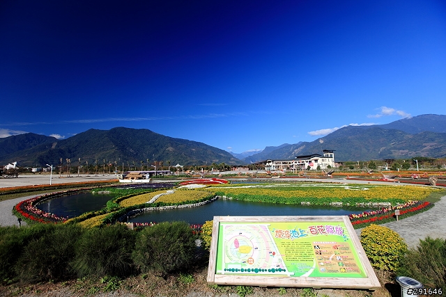 2010~花東油菜花季之旅 (圖多)