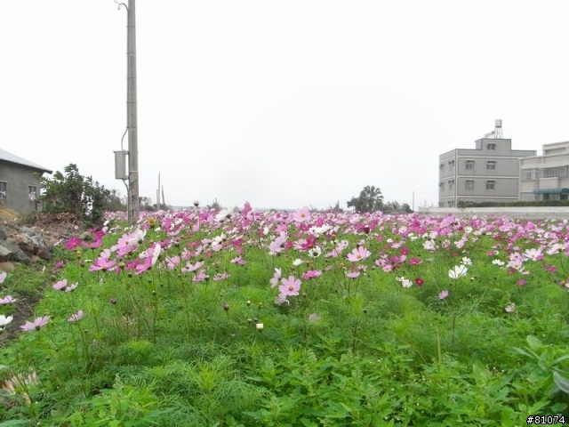 【遊記】2010-01-02 小吳的自我挑戰..台北--雲林..我做到啦!!