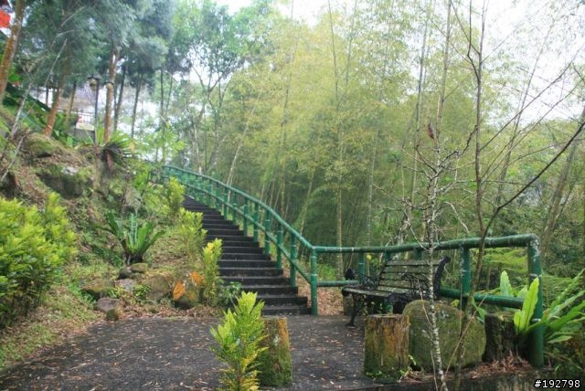 ☆霧鎖山林雲隱天,溪頭賞景練身體☆(四)嚇鼠倫~新明山渡假飯店