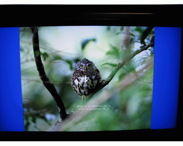 聯碩 HD-42U33 卡拉OK LCD 開箱文