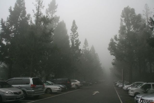 ☆霧鎖山林雲隱天,溪頭賞景練身體☆(三)強身健體~溪頭森林遊樂區
