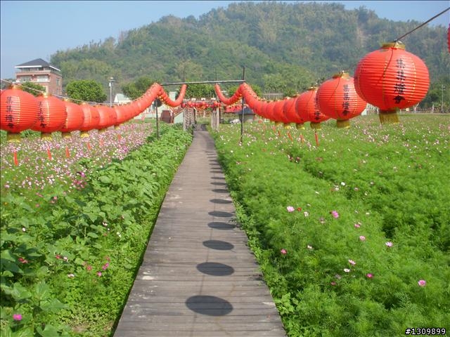 南投縣集集鎮環鎮自行車道啟用體驗活動--活力集集鐵馬行