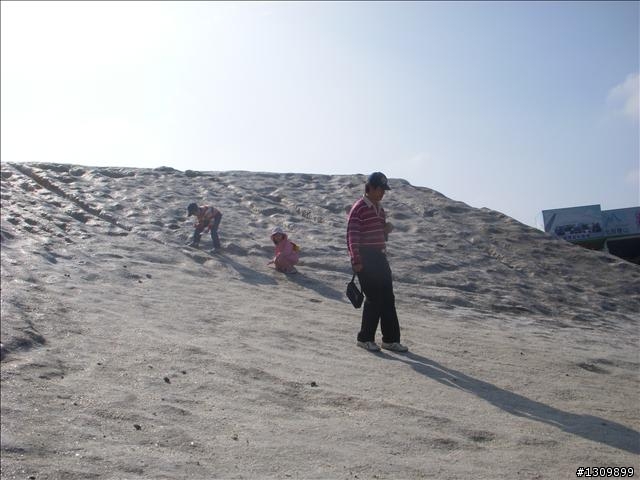 2010「單車漫遊快速公路,體驗南瀛文化濱海風情」