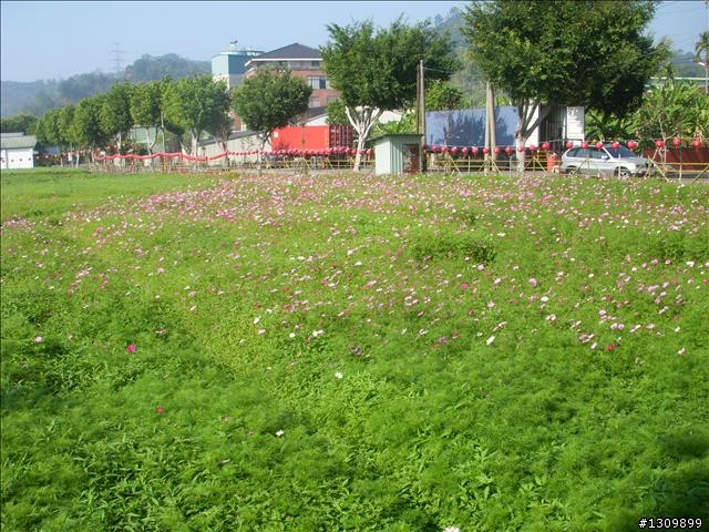 南投縣集集鎮環鎮自行車道啟用體驗活動--活力集集鐵馬行