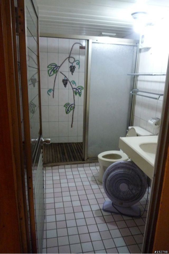 ☆霧鎖山林雲隱天,溪頭賞景練身體☆(四)嚇鼠倫~新明山渡假飯店