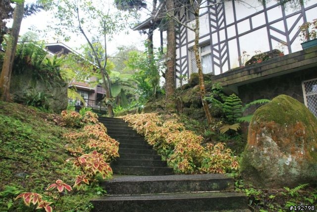 ☆霧鎖山林雲隱天,溪頭賞景練身體☆(四)嚇鼠倫~新明山渡假飯店