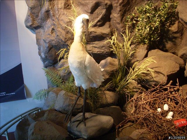 2010「單車漫遊快速公路,體驗南瀛文化濱海風情」