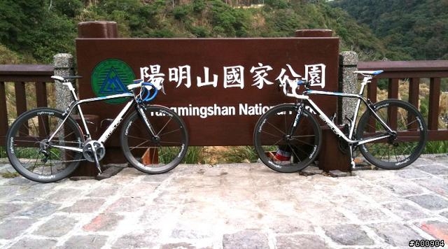 萊威3兄弟+聖暴龍Simplon車架