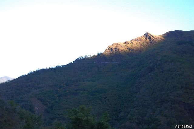 2010/01/01驚嘆連連+驚心動魄--南橫/一個人私奔的旅行
