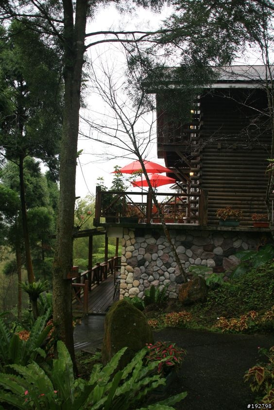 ☆霧鎖山林雲隱天,溪頭賞景練身體☆(四)嚇鼠倫~新明山渡假飯店