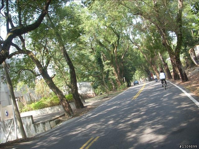 南投縣集集鎮環鎮自行車道啟用體驗活動--活力集集鐵馬行