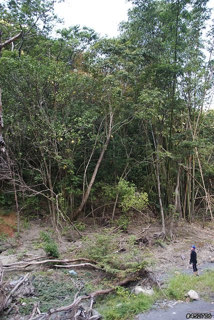 來去58公路(武界-巴庫拉斯)探險去