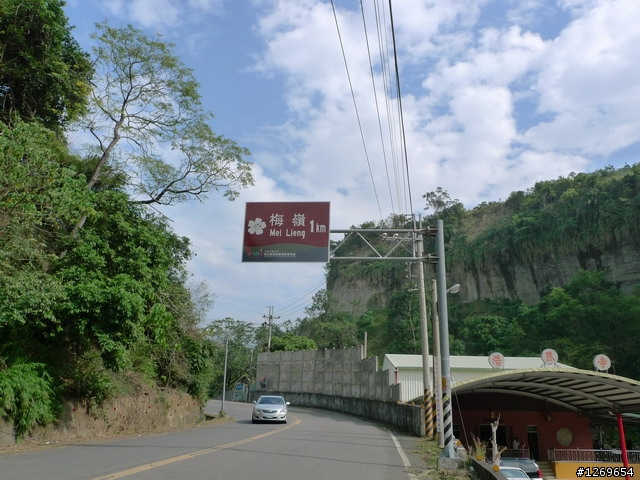【梅嶺單車露營】台南縣楠西鄉梅嶺風景區~梅花已大量盛開囉