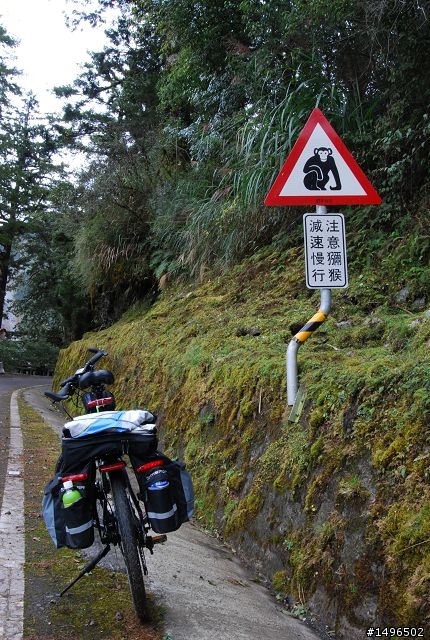 2010/01/01驚嘆連連+驚心動魄--南橫/一個人私奔的旅行