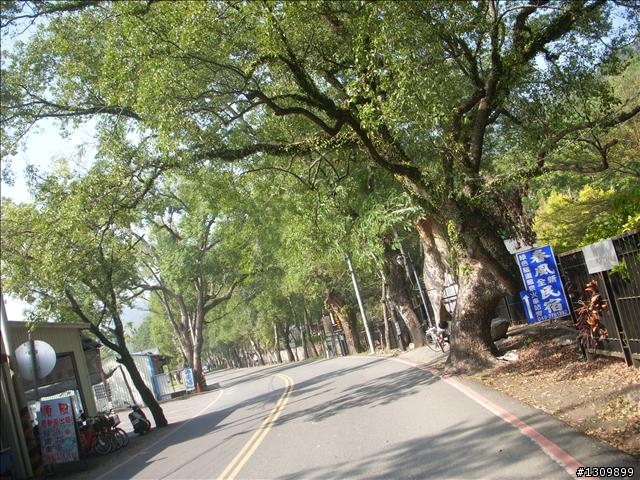 南投縣集集鎮環鎮自行車道啟用體驗活動--活力集集鐵馬行