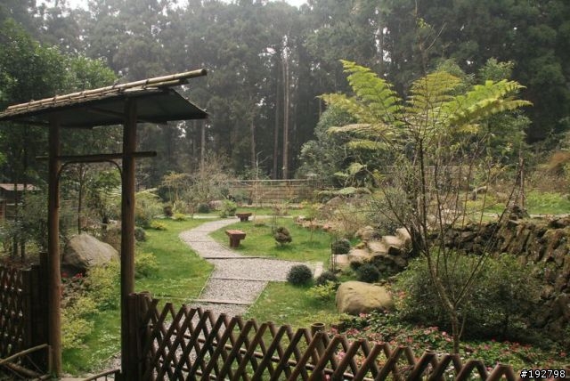 ☆霧鎖山林雲隱天,溪頭賞景練身體☆(三)強身健體~溪頭森林遊樂區