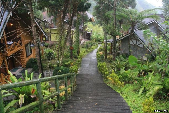 ☆霧鎖山林雲隱天,溪頭賞景練身體☆(四)嚇鼠倫~新明山渡假飯店
