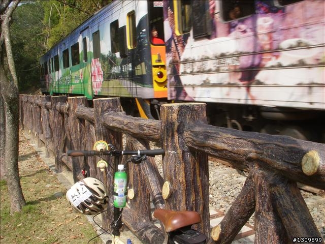 南投縣集集鎮環鎮自行車道啟用體驗活動--活力集集鐵馬行