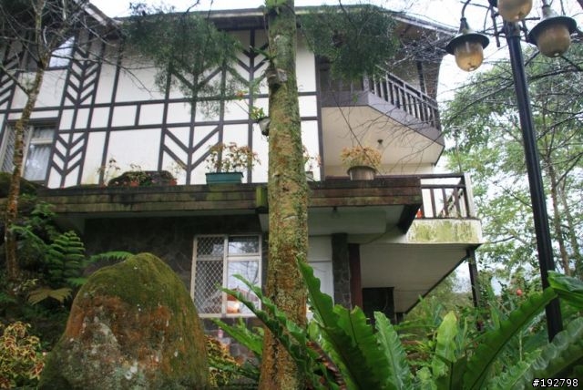 ☆霧鎖山林雲隱天,溪頭賞景練身體☆(四)嚇鼠倫~新明山渡假飯店