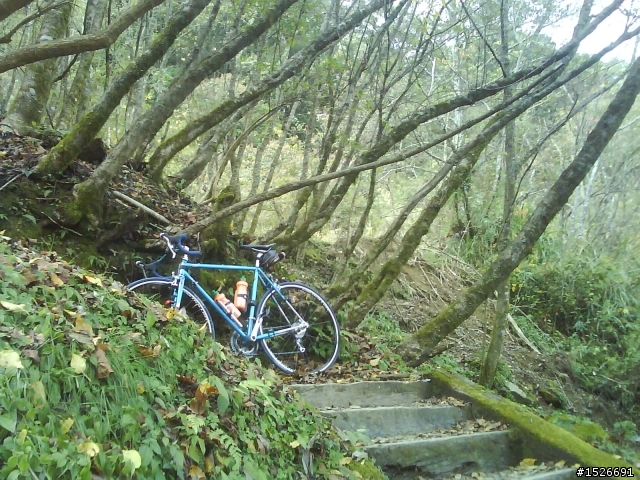 2010元旦單車騎上阿里山發現塔塔加風景之美不勝收!