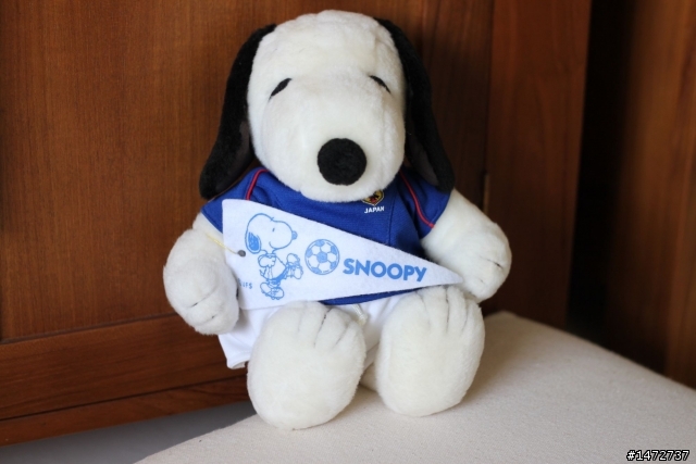 小弟的snoopy收藏…
