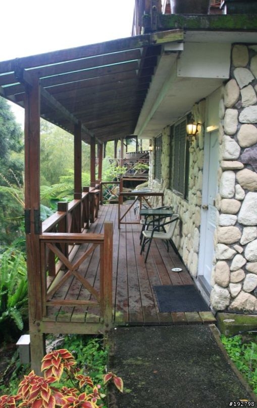 ☆霧鎖山林雲隱天,溪頭賞景練身體☆(四)嚇鼠倫~新明山渡假飯店