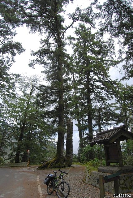 2010/01/01驚嘆連連+驚心動魄--南橫/一個人私奔的旅行