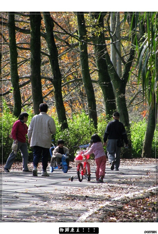 石門大壩五口通騎-角板山之【梅開,眼笑,同心緣】
