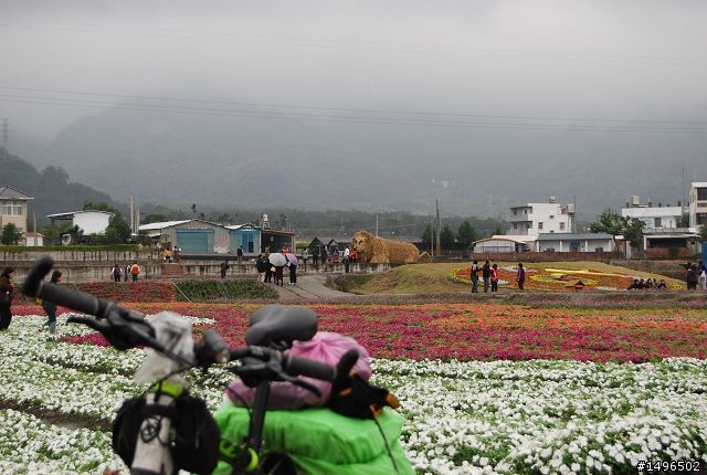 2010/01/01驚嘆連連+驚心動魄--南橫/一個人私奔的旅行