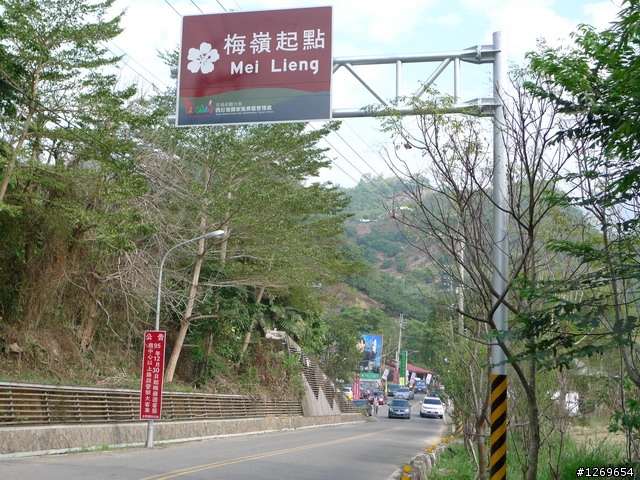 【梅嶺單車露營】台南縣楠西鄉梅嶺風景區~梅花已大量盛開囉