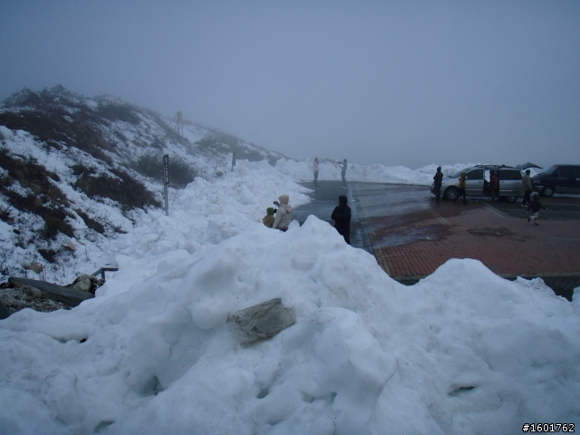 雪見武嶺(2010/2/23~2010/2/24)