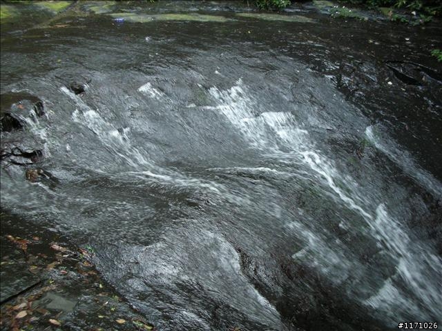 聖母山莊步道