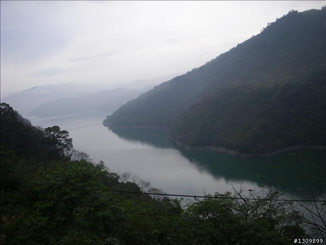 桃園縣復興鄉「2010年櫻花季暨自行車逍遙遊活動」 沒來真的很可惜喔